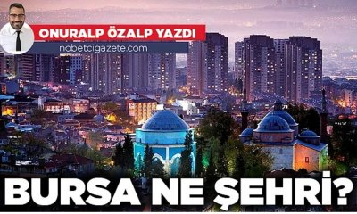 Bursa ne şehri?